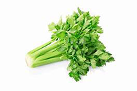 Celery