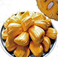 JackFruit