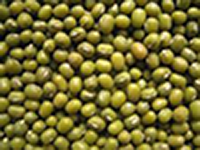 Mung Bean